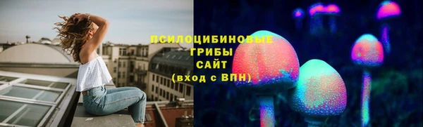 mdpv Горняк