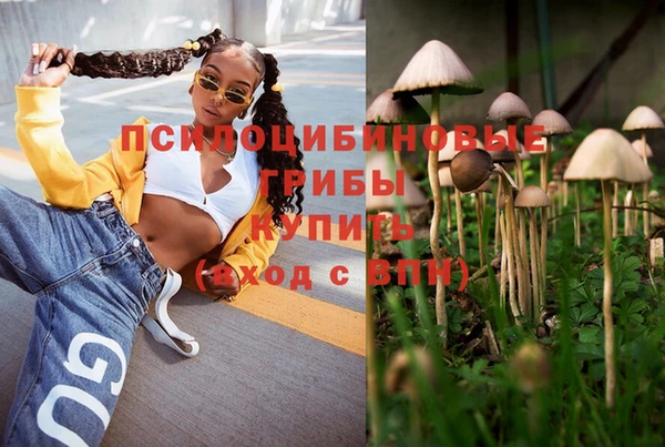 mdpv Горняк